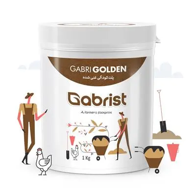 پلیت سطلی گابری فول فرتی